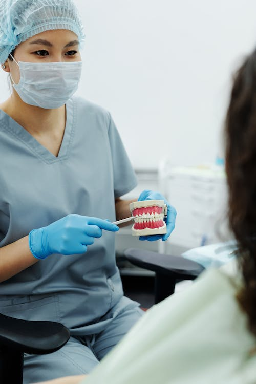 A dentist showing a patient a model of a mouth